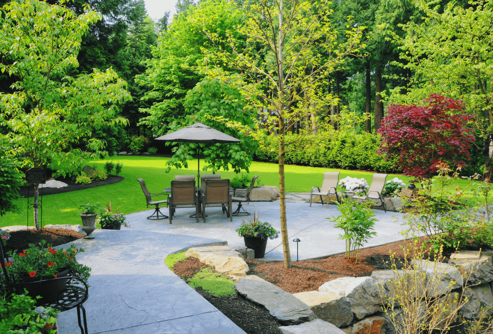 backyard concrete patio with a beautiful landscape
