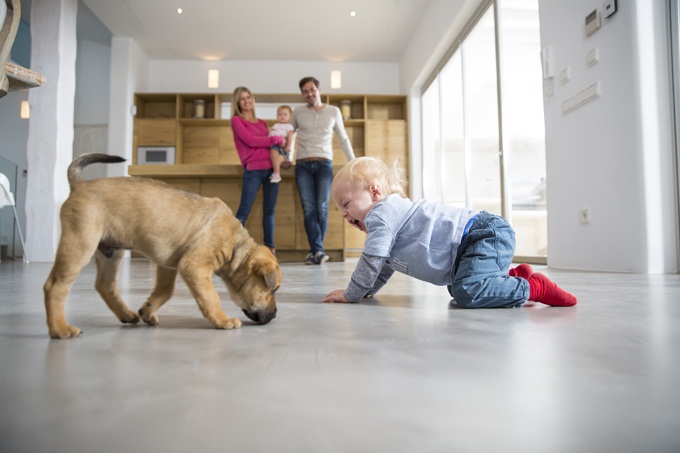 family of three with a dog
