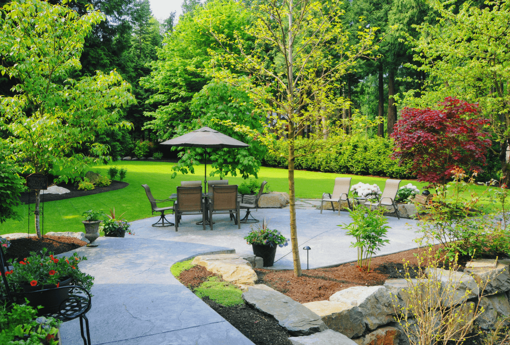 backyard concrete patio with a beautiful landscape